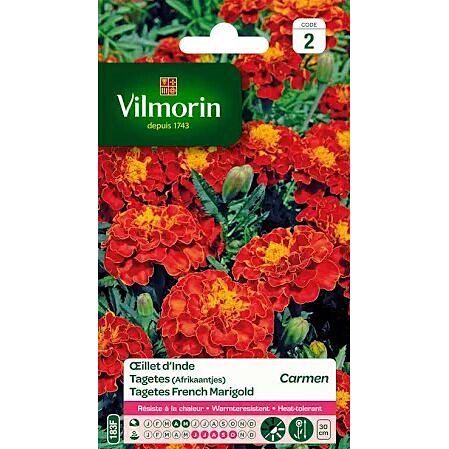 Graines Œillet d'Inde Carmen - VILMORIN