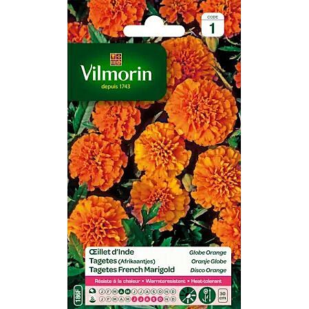 Graines Œillet d'Inde Globe Orange - VILMORIN