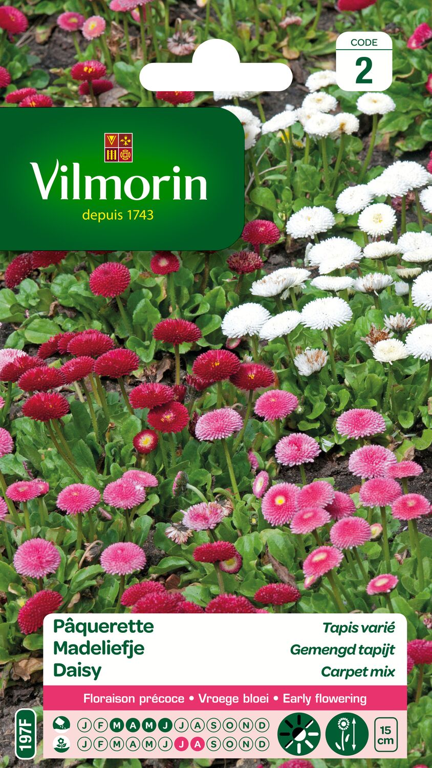 Graines Pâquerette Tapis Varié - VILMORIN
