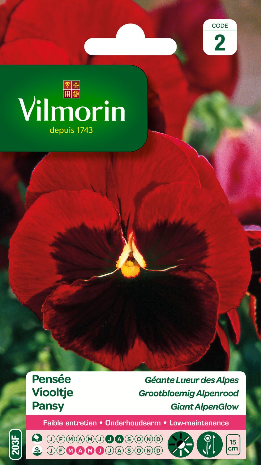 Graines Pensée Géante Lueur des Alpes - VILMORIN