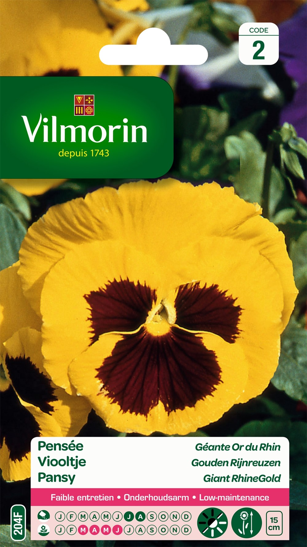 Graines Pensée Géante Or du Rhin - VILMORIN