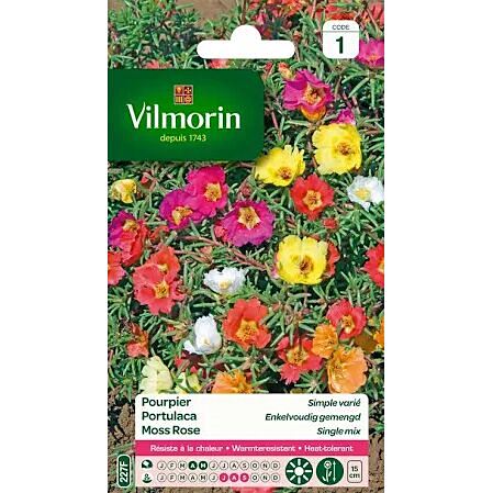 Graines Pourpier Simple Varié - VILMORIN