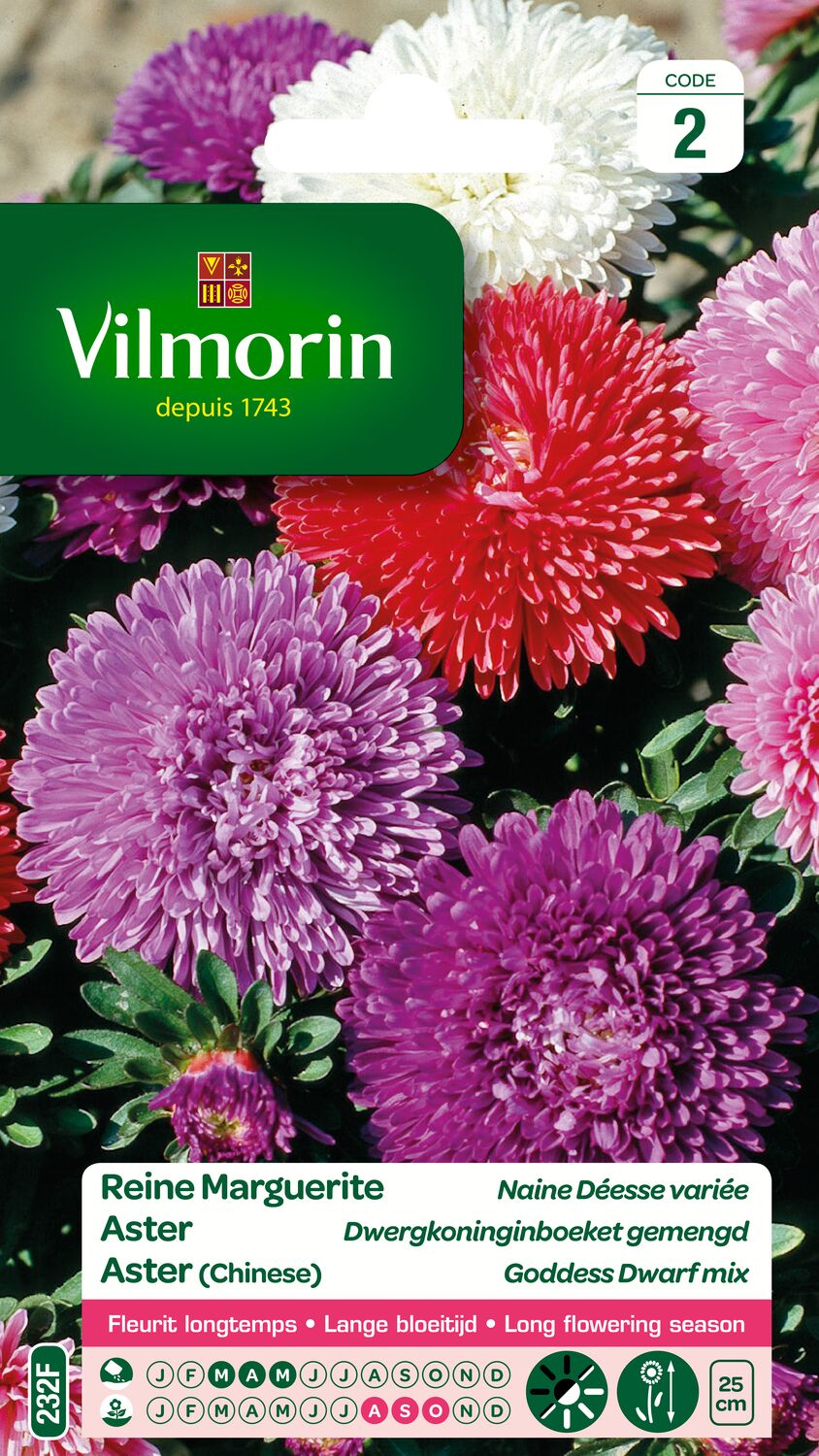 Graines Reine Marguerite Naine Déesse Variée - VILMORIN