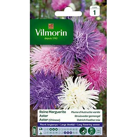 Graines Reine Marguerite Plume D’Autruche Variée - VILMORIN