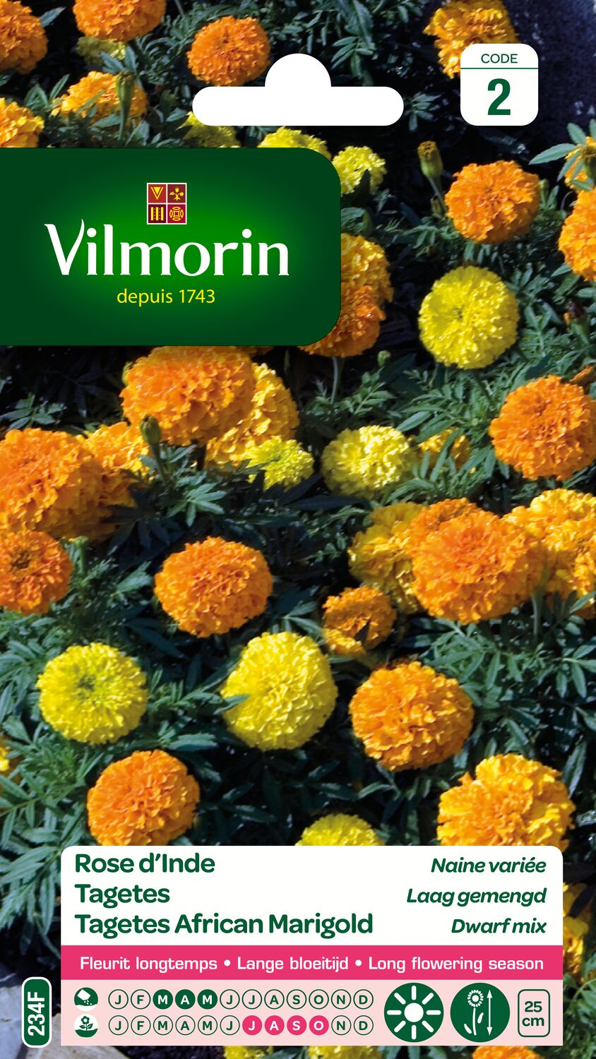 Graines Rose d'Inde Naine Variée - VILMORIN