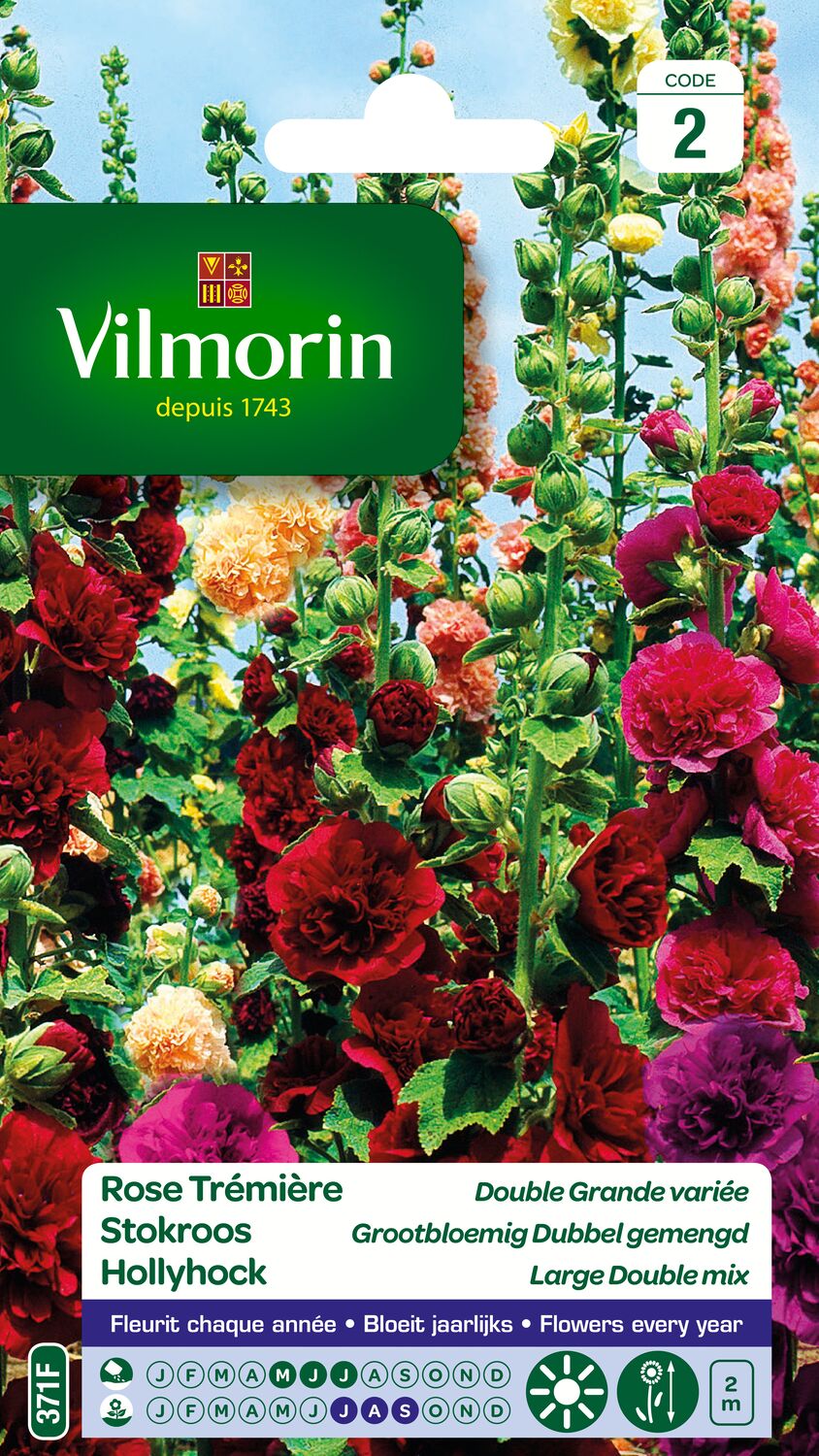 Graines Rose Trémière Double Grande Variée - VILMORIN
