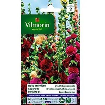 Graines Rose Trémière Double Grande Variée - VILMORIN