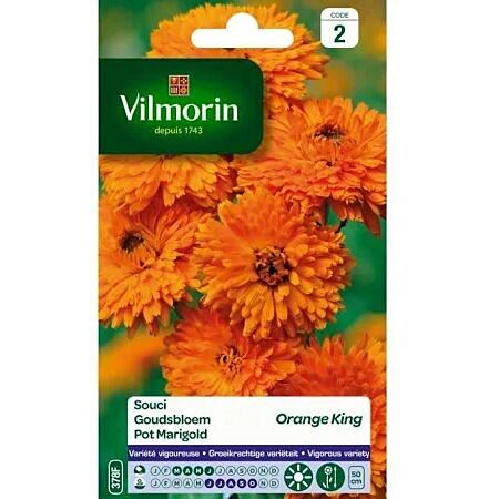 Graines Souci Orange King - VILMORIN