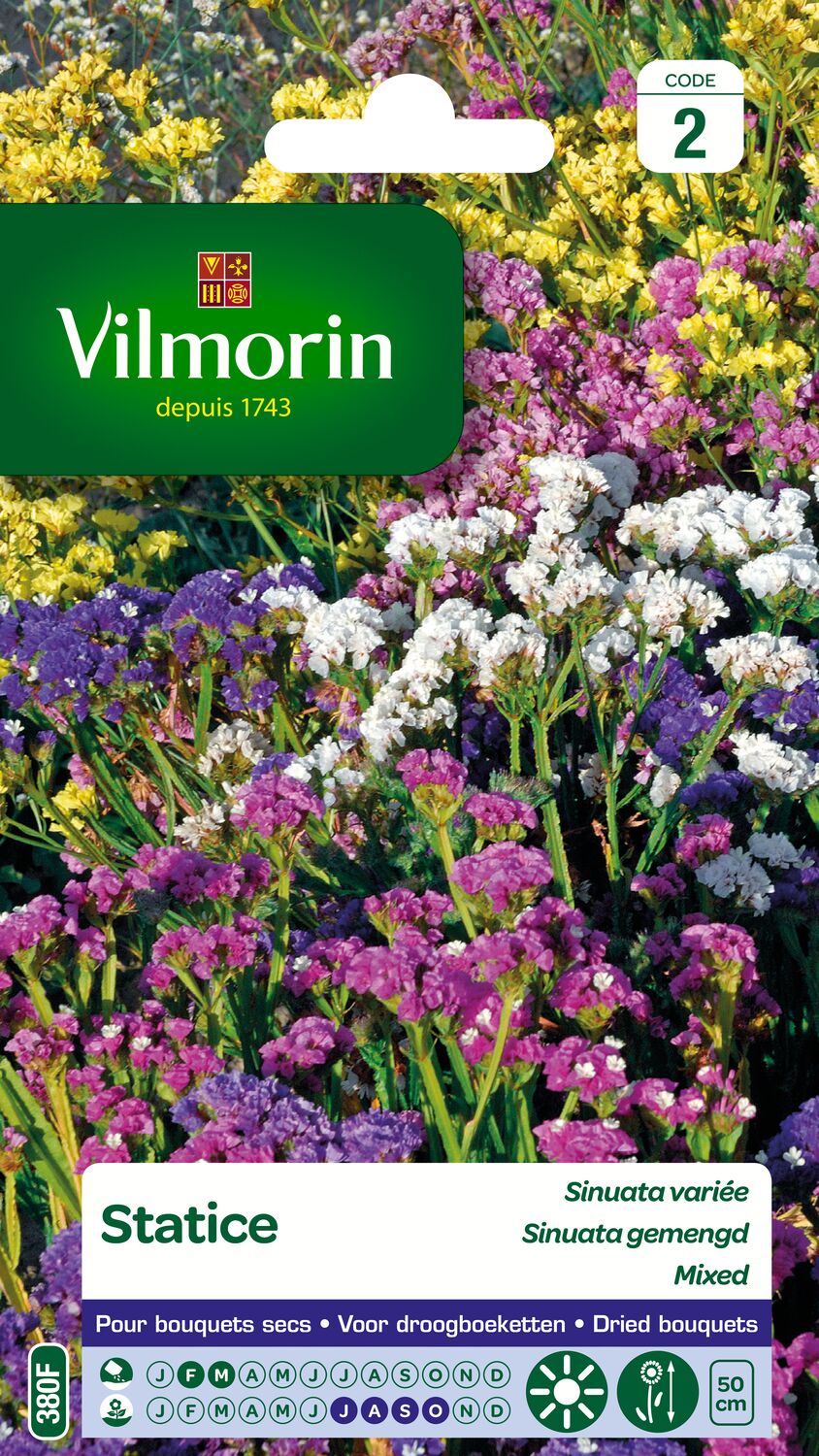 Graines Statice Sinuata Variée - VILMORIN