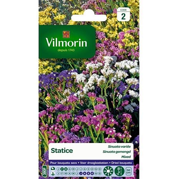 Graines Statice Sinuata Variée - VILMORIN