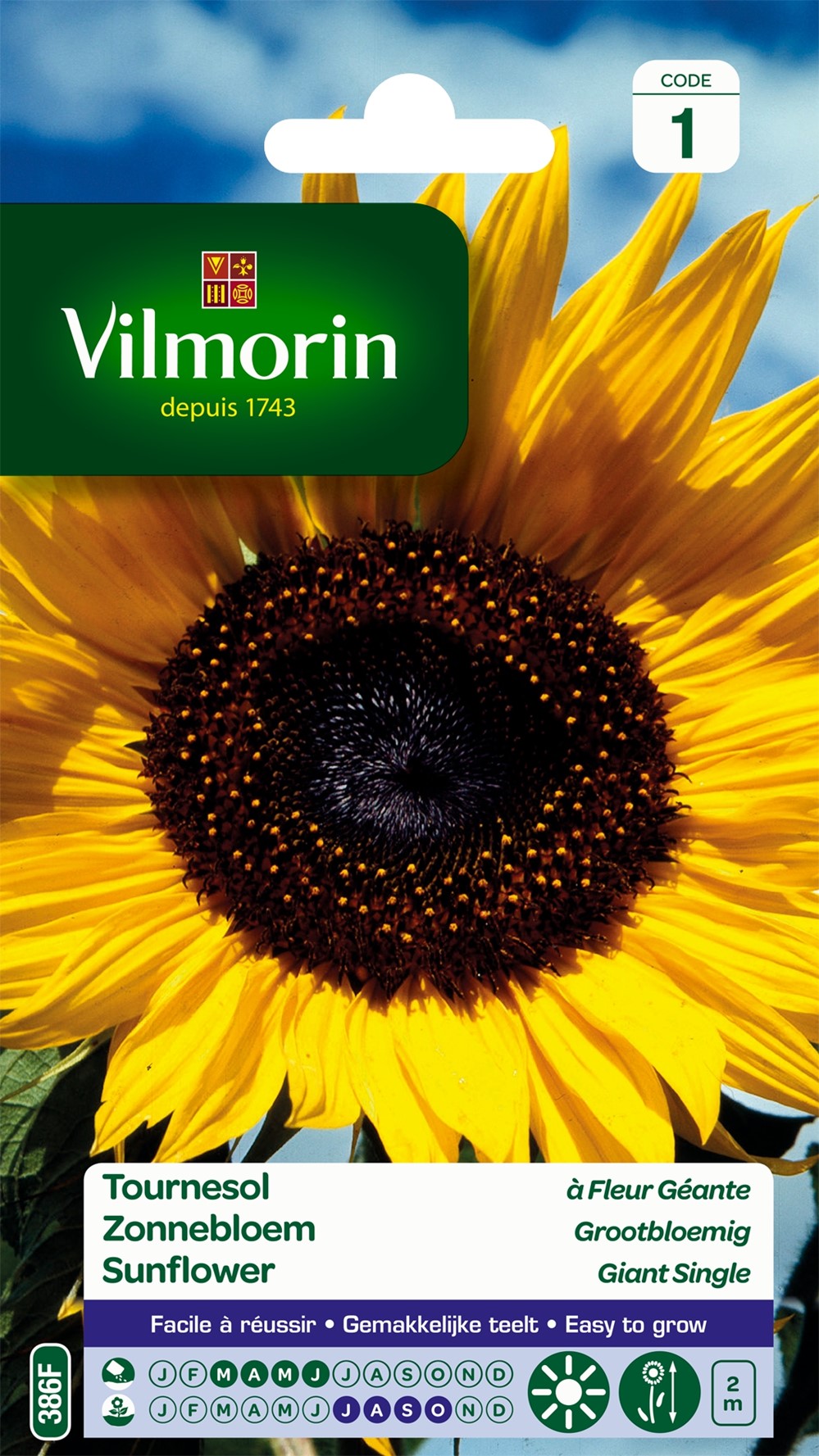 Graines Tournesol à Fleur Géante - VILMORIN
