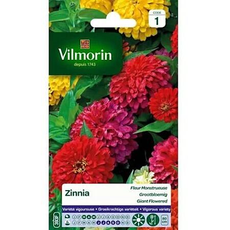 Graines Zinnia Fleur Monstrueuse - VILMORIN