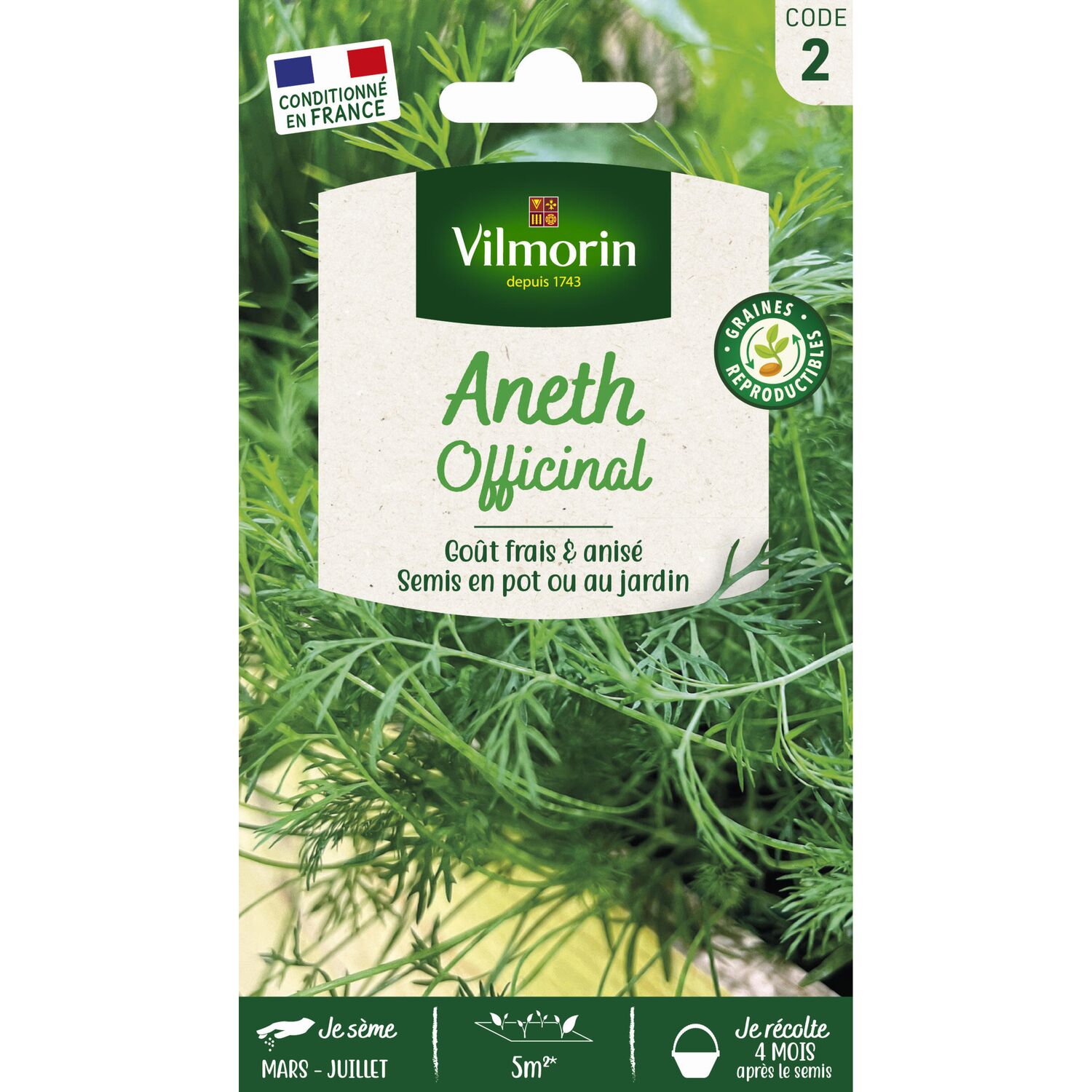 Graines Aneth Officinal - VILMORIN