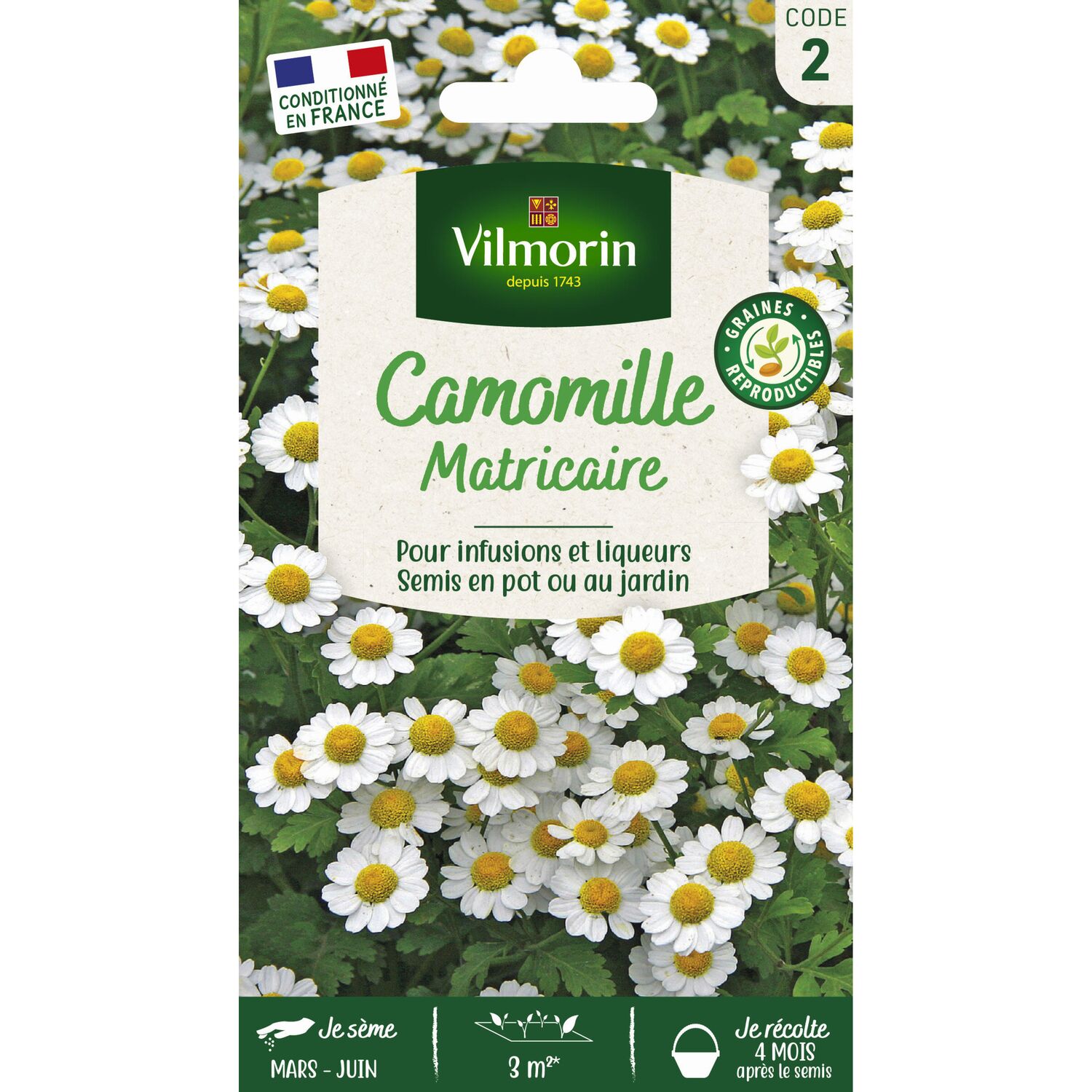 Camomille série 2 Vilmorin