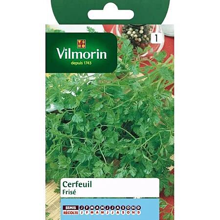 Graines Cerfeuil Frisé - VILMORIN