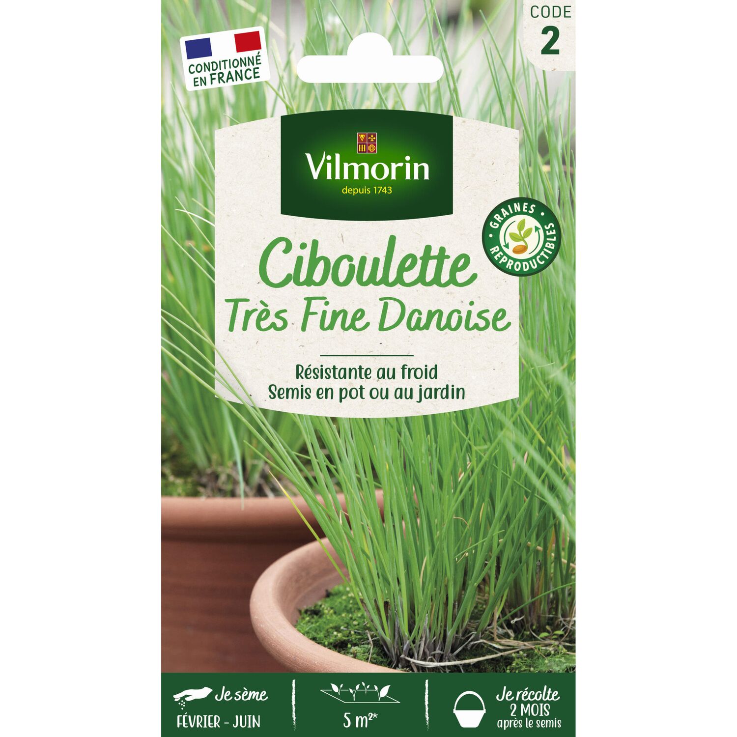Graines Ciboulette Très Fine Danoise - VILMORIN