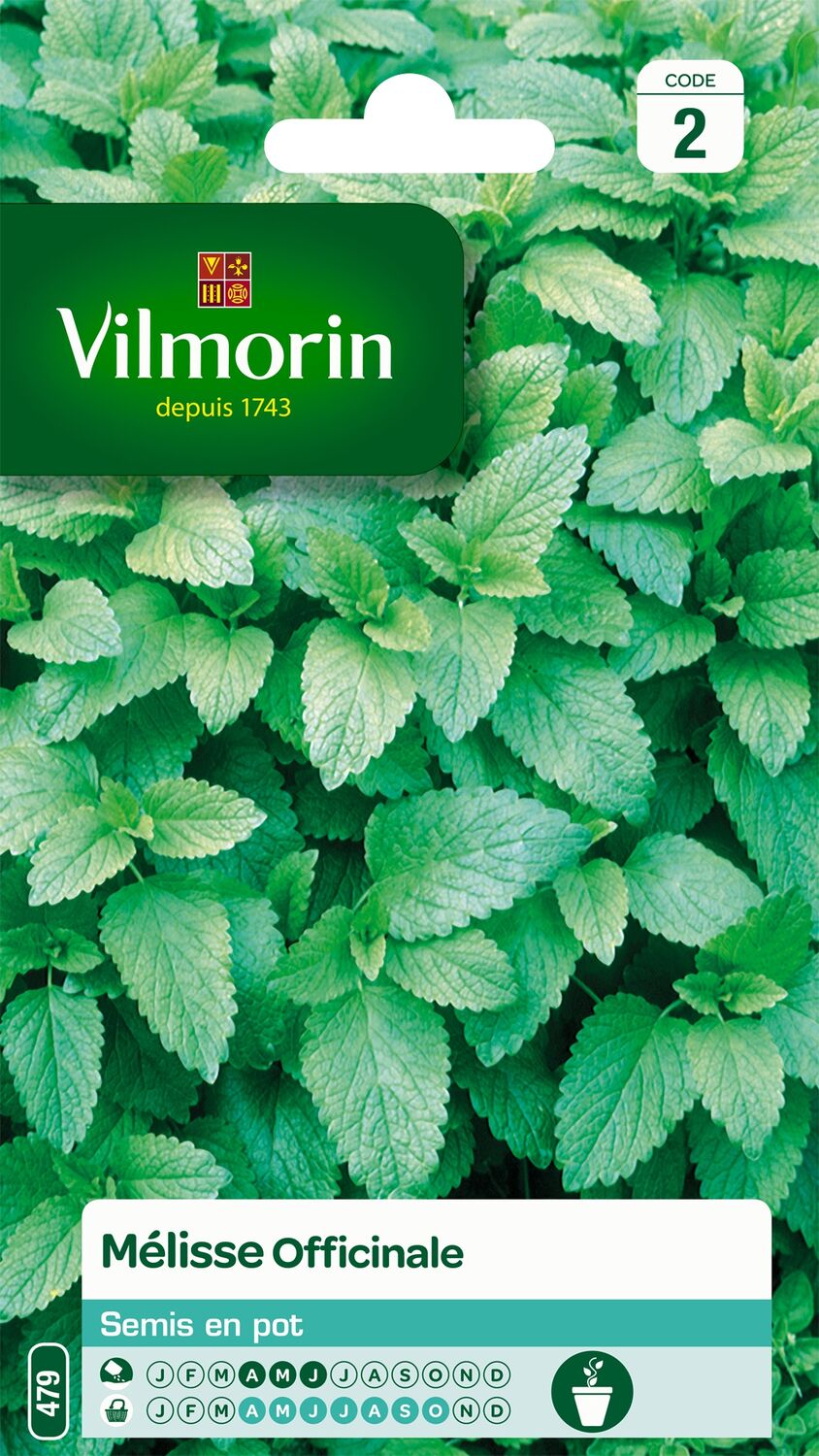 Graines Mélisse Officinale - VILMORIN
