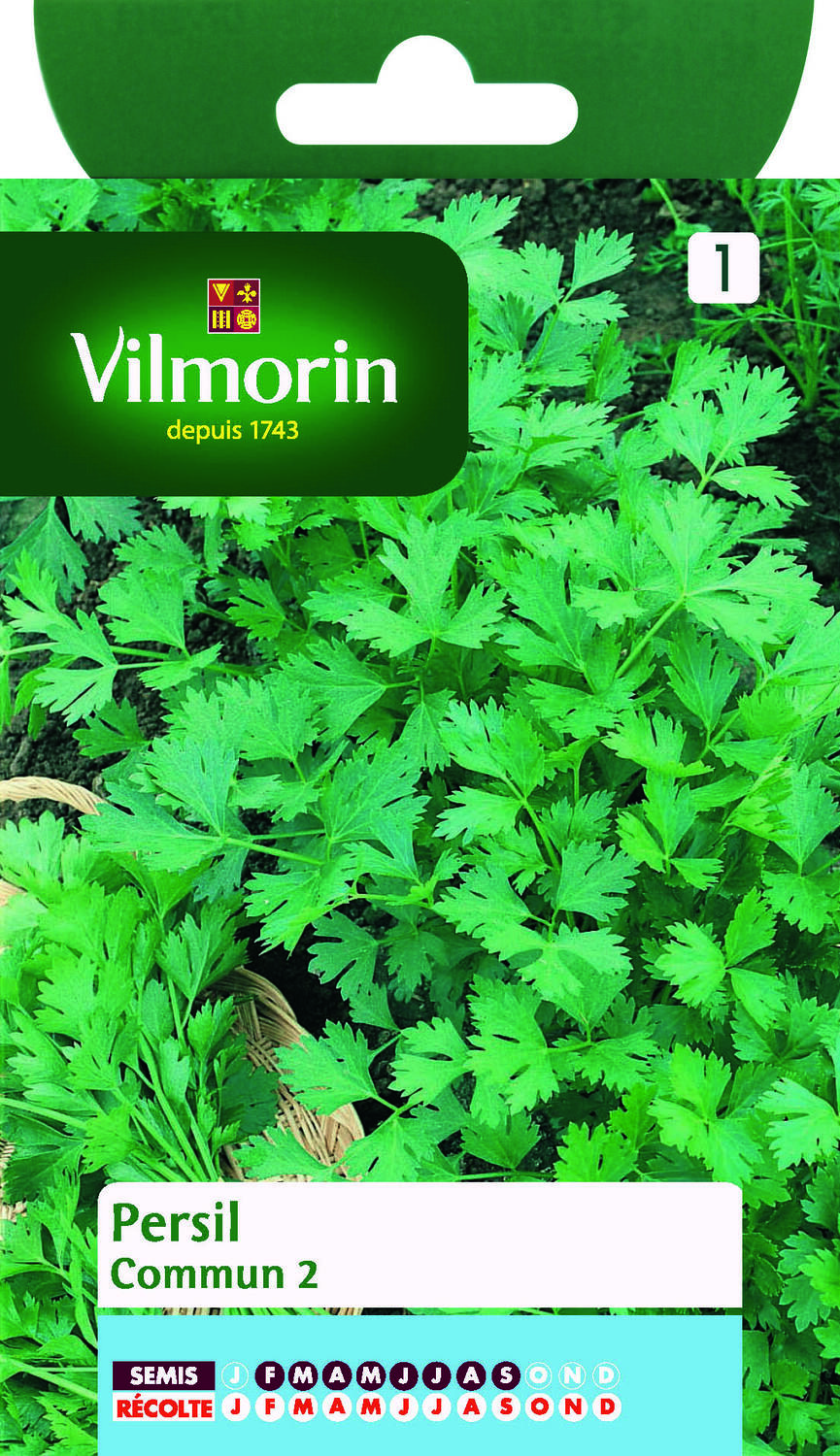 Graines Persil Commun 2 - VILMORIN