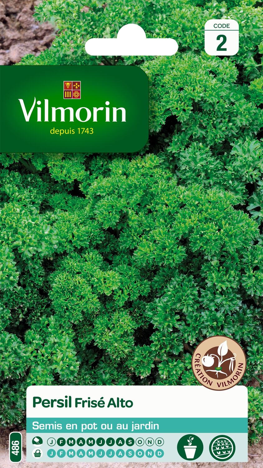Graines Persil Frisé Vert Foncé Race Alto - VILMORIN