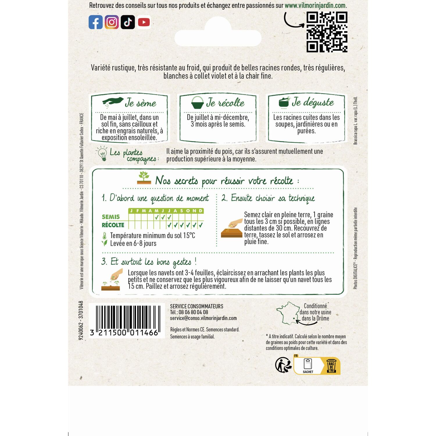 Graines Navet de Nancy à Feuille Entière Grand Format - VILMORIN