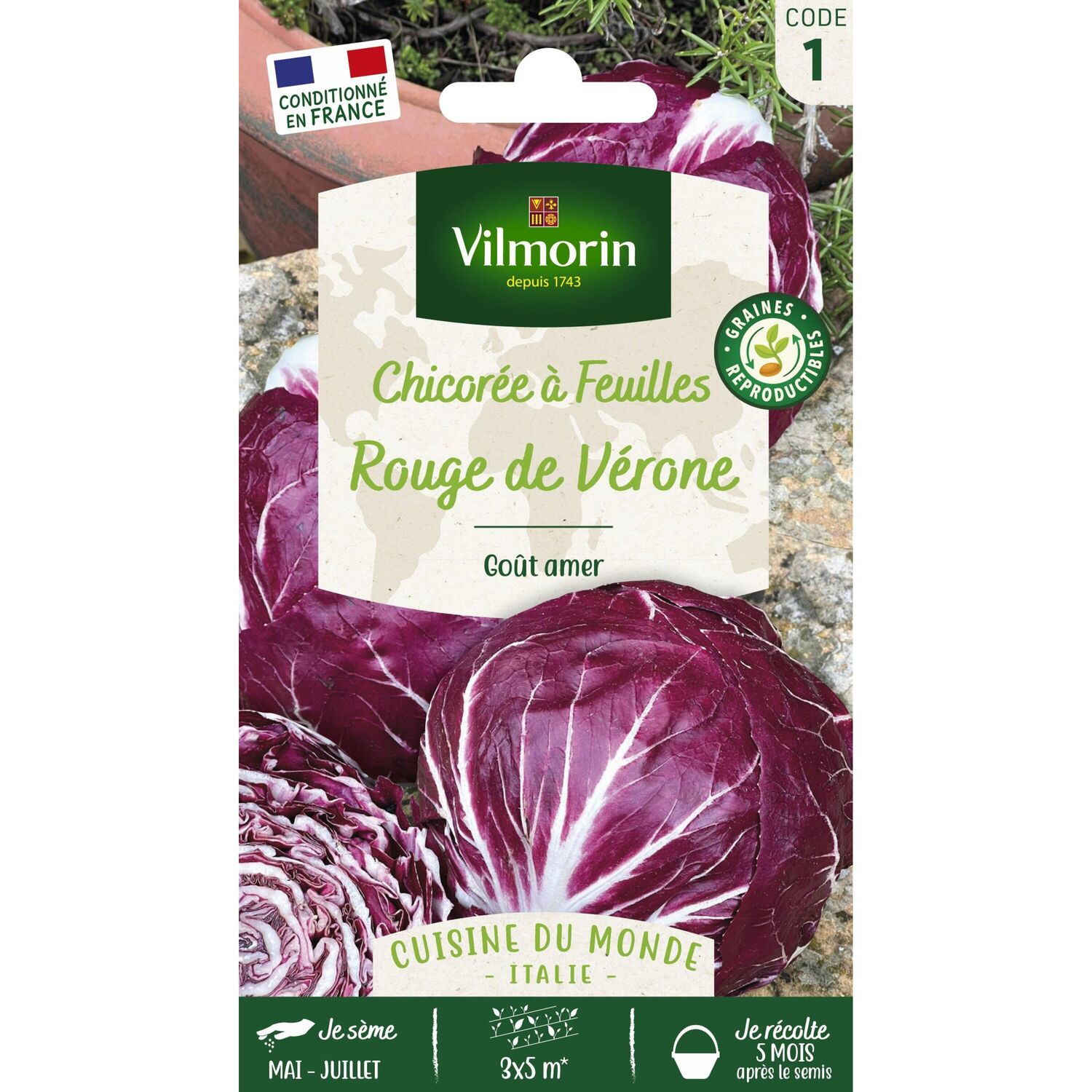 Graines Chicorée à Feuilles Rouge de Vérone - VILMORIN