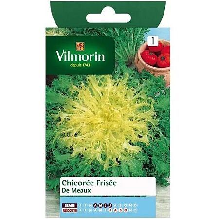 Graines Chicorée Frisée de Meaux - VILMORIN