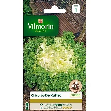 Graines Chicorée Frisée de Ruffec - VILMORIN