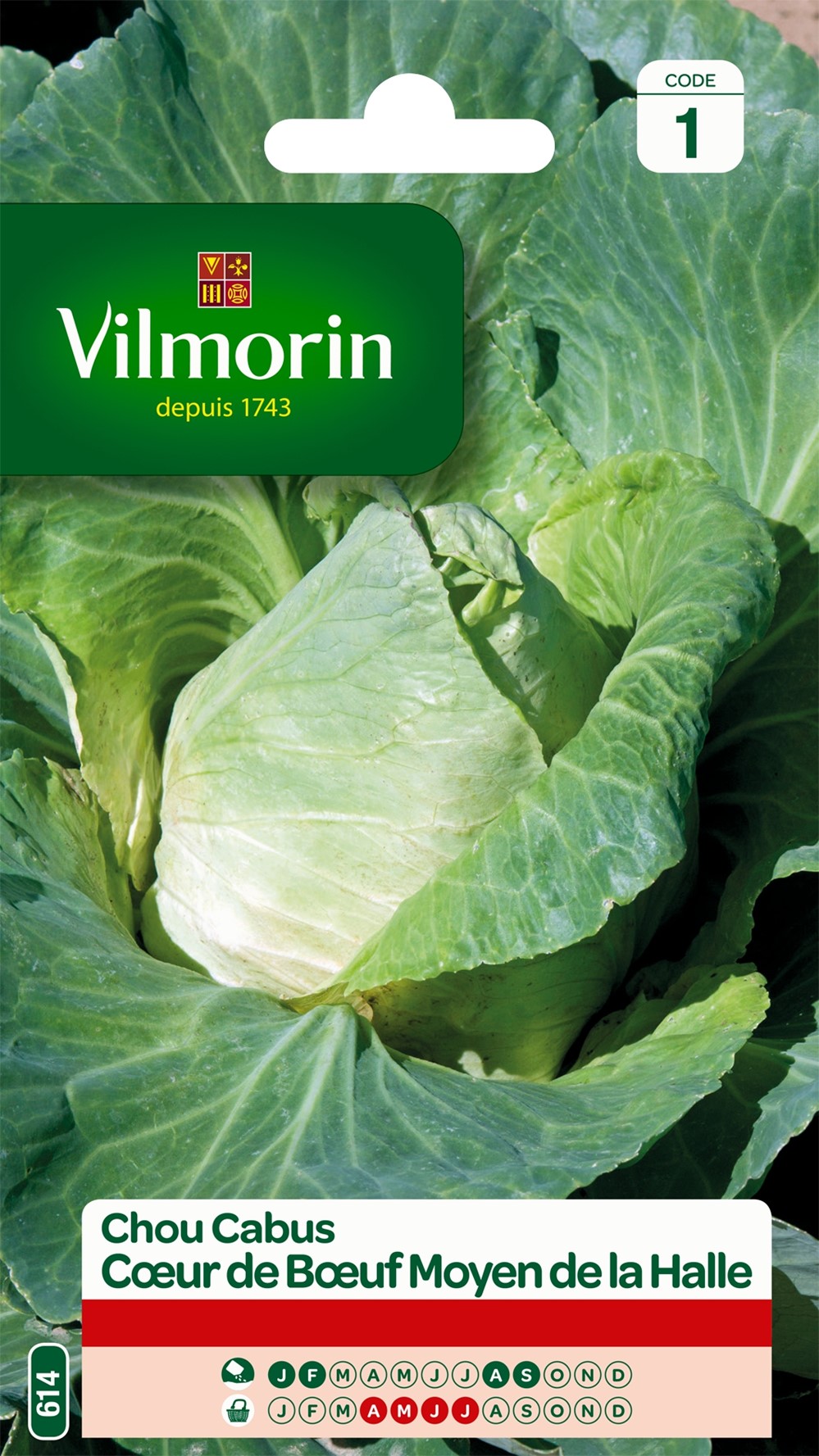 Graines Chou Blanc Cœur de Bœuf Moyen de La Halle - VILMORIN
