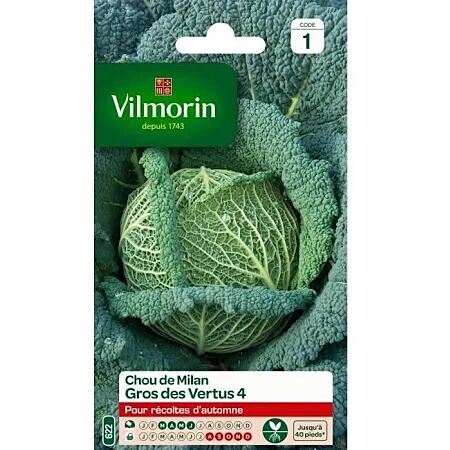 Graines Chou de Milan Gros des Vertus - VILMORIN