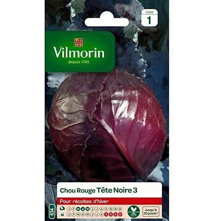 Graines Chou Rouge Tête Noire 3 - VILMORIN