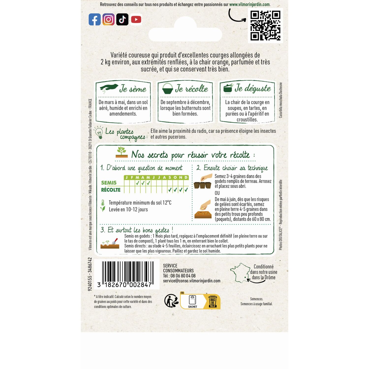 Courge musquée Waltham Butternut série 2 - VILMORIN