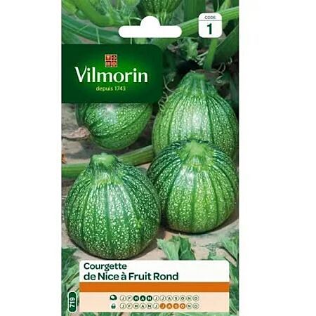Graines Courgette de Nice à Fruit Rond - VILMORIN