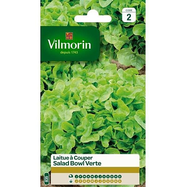 Graines Laitue à Couper Salad Bowl Verte - VILMORIN