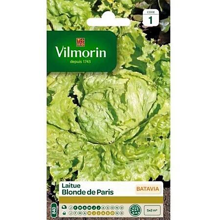 Graines Laitue Batavia Blonde de Paris - VILMORIN