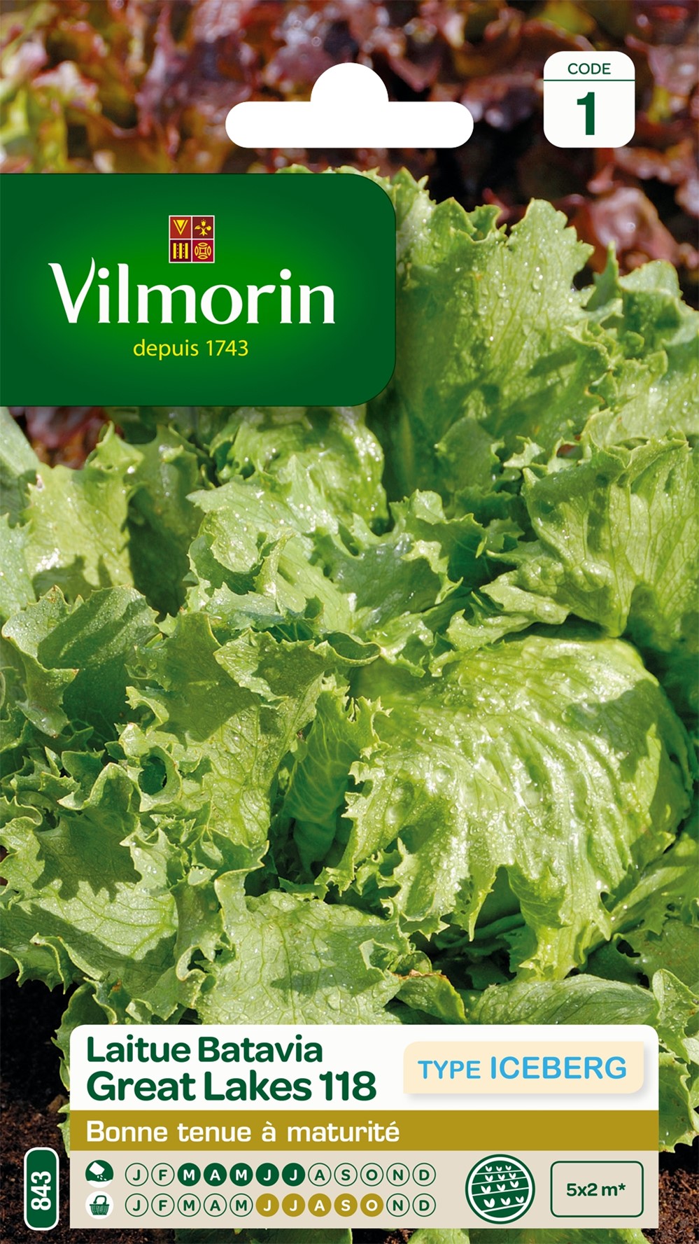 Graines Laitue Batavia Great Lakes 118 - VILMORIN