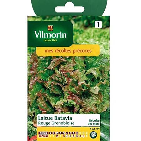 Graines Laitue Batavia Rouge Grenobloise - VILMORIN