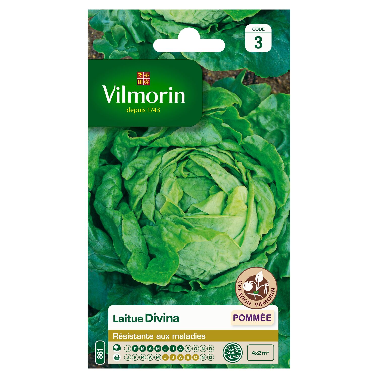 Graines Laitue Pommée Divina - VILMORIN