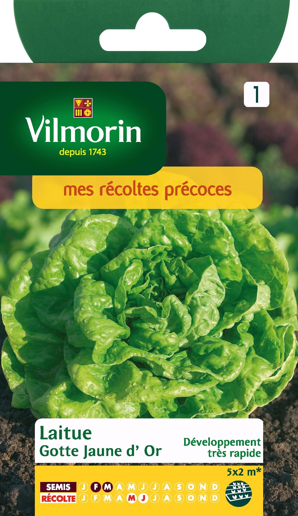 Graines Laitue Pommée Gotte Jaune d'Or - VILMORIN