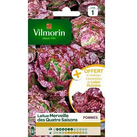 Graines Laitue Merveille des 4 Saisons - VILMORIN