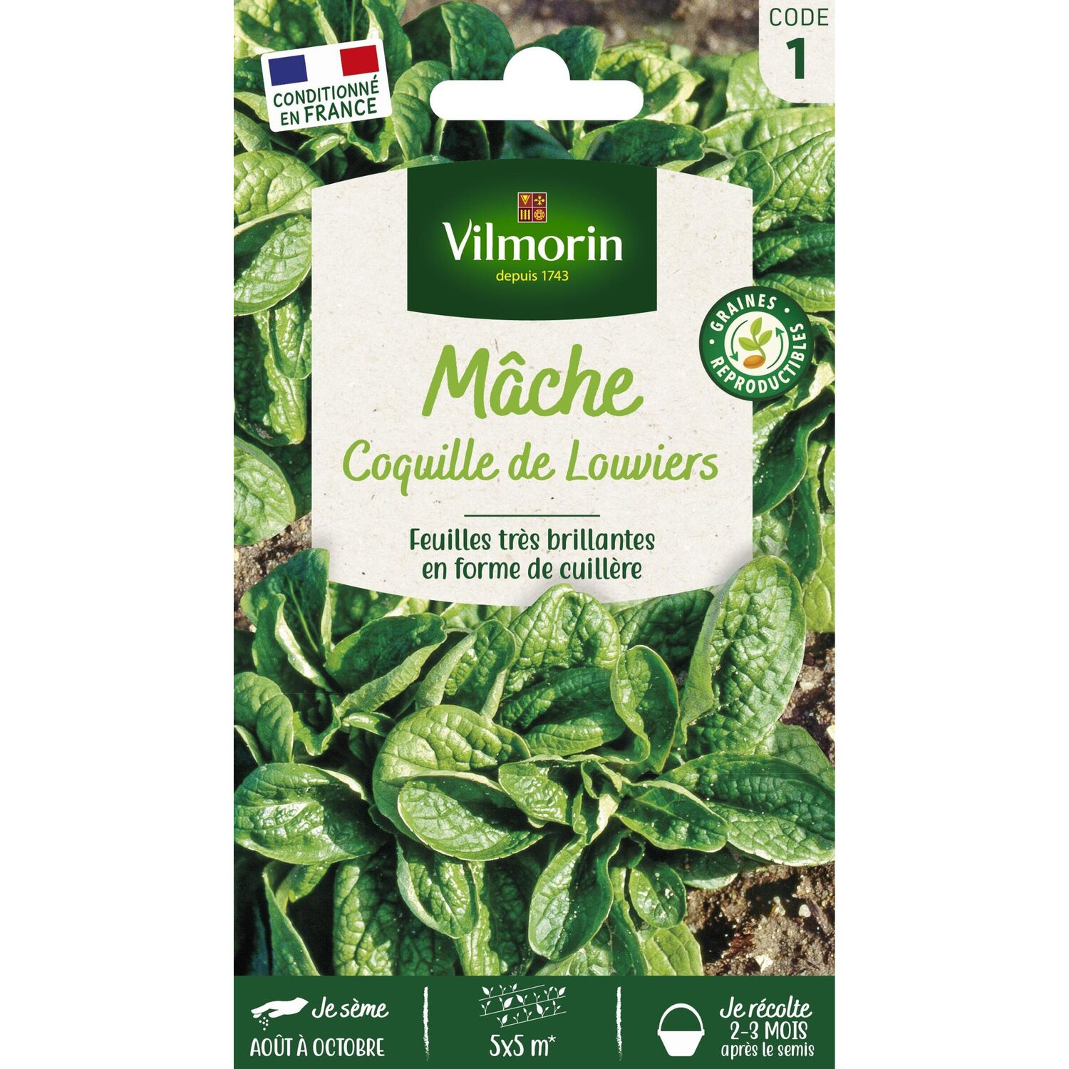 Graines Mâche Coquille de Louviers - VILMORIN