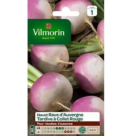 Graines Navet Légume Rave d'Auvergne Tardive - VILMORIN