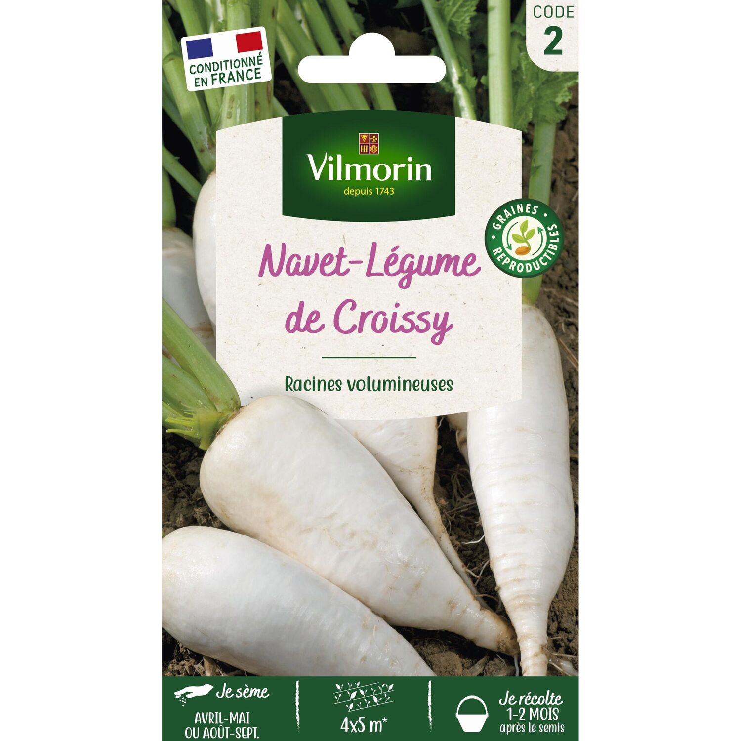 Graines Navet Légume Demi Long de Croissy - VILMORIN