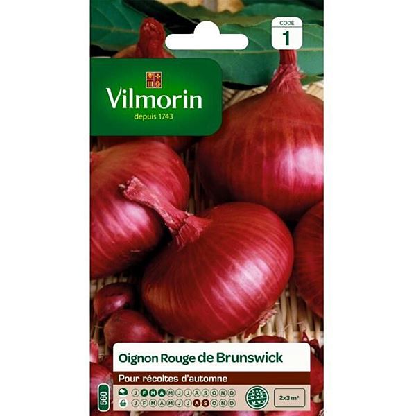 Graines Oignon Rouge de Brunswick - VILMORIN