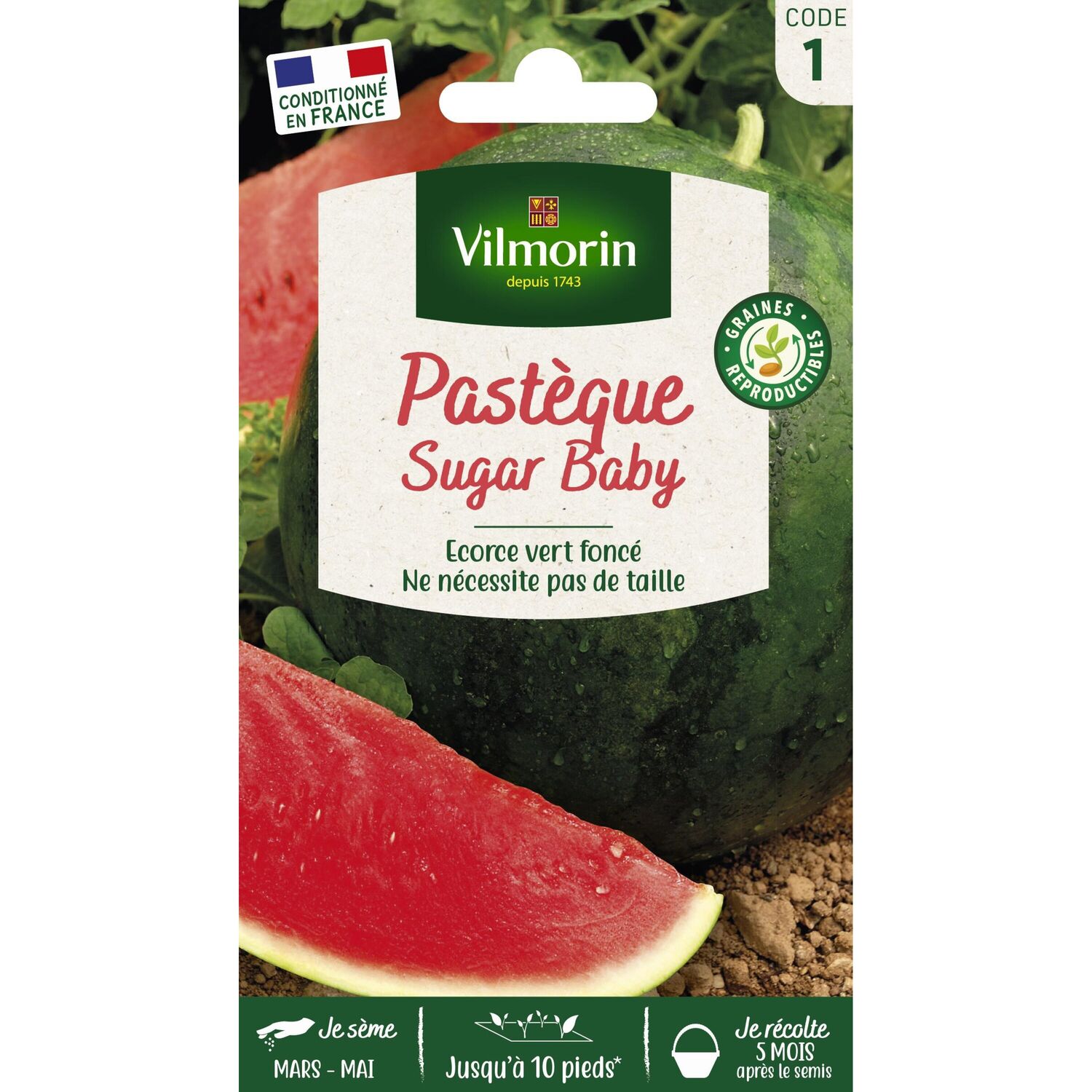 Graines Pastèque Sugar Baby - VILMORIN