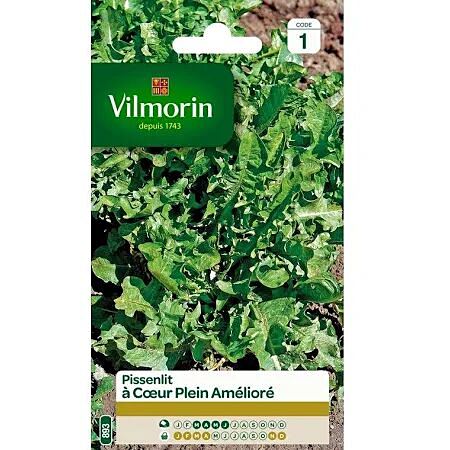 Graines Pissenlit à Cœur Plein Amélioré - VILMORIN