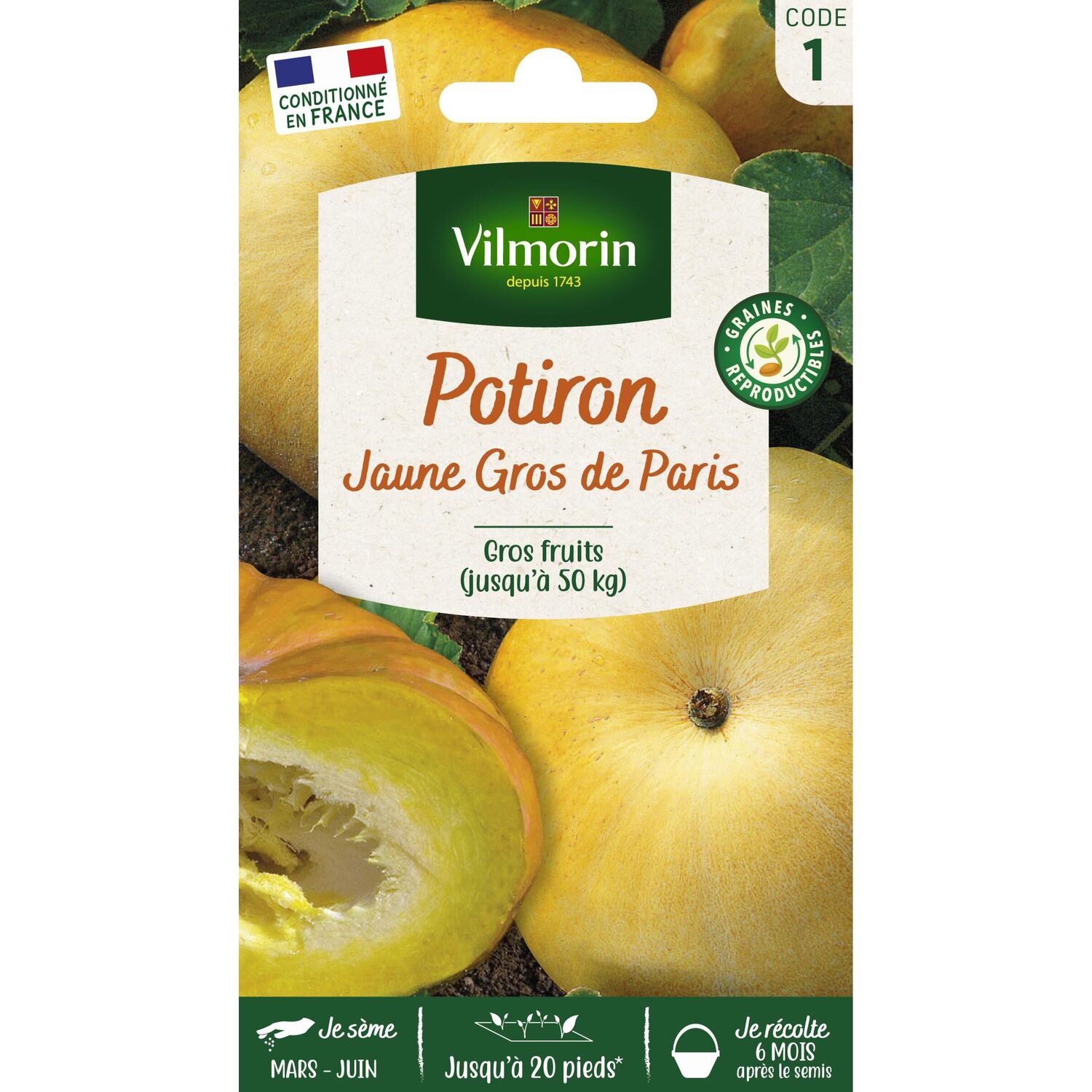 Graines Potiron Jaune Gros de Paris - VILMORIN