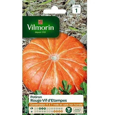 Graines Potiron Rouge Vif d'Etampes - VILMORIN