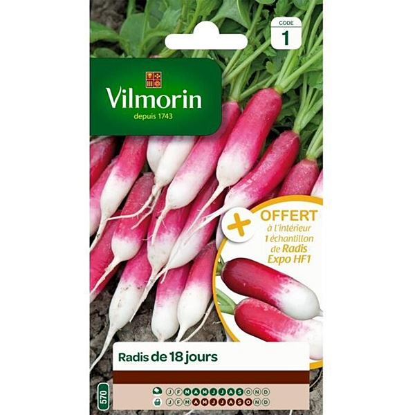Graines Radis de 18 Jours - VILMORIN