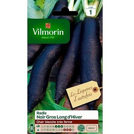 Graines Radis Noir Gros Long d'Hiver - VILMORIN