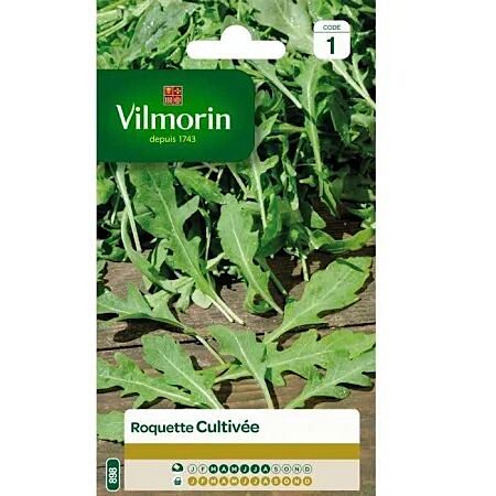 Graines Roquette Cultivée - VILMORIN